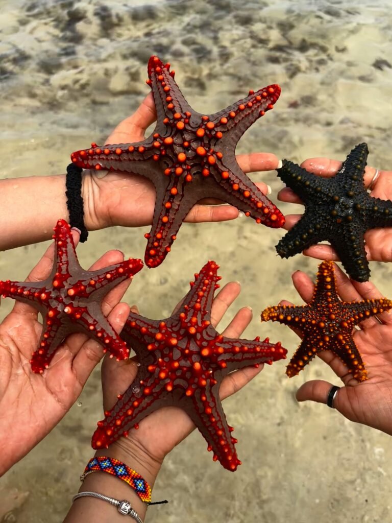 1. Photo 5 Star Reviews 768x1024