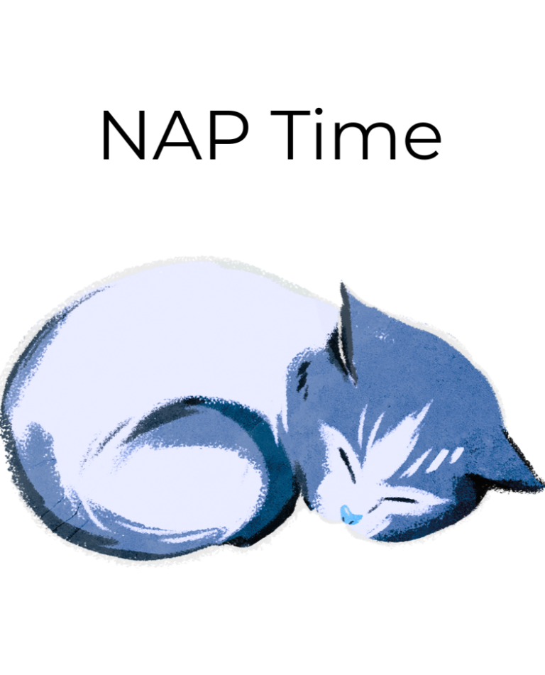 NAP Blog 768x951